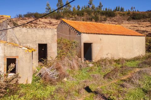 Farm i Monchique, Faro, Monchique - € 1.392.000 | Ref: Qt-967 - foto 13