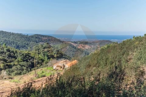 Farm i Monchique, Faro, Monchique - € 1.392.000 | Ref: Qt-967 - foto 14