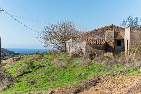 Farm i Monchique, Faro, Monchique - € 1.392.000 | Ref: Qt-967 - foto 15