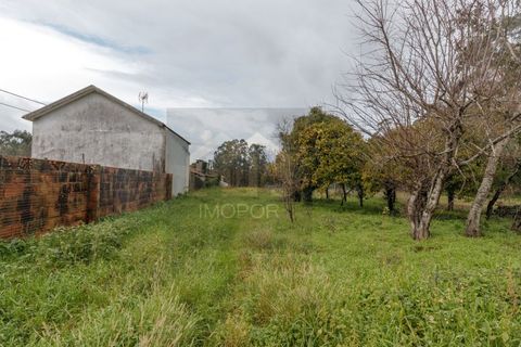Villa i Ovar, Aveiro, Ovar - € 280.000 | Ref: CAS_639 - foto 18