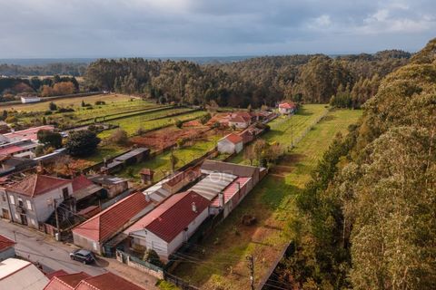 Villa i Ovar, Aveiro, Ovar - € 280.000 | Ref: CAS_639 - foto 20
