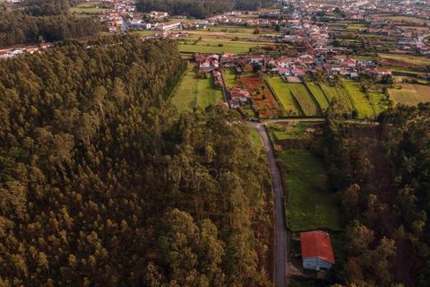 Villa i Ovar, Aveiro, Ovar - € 280.000 | Ref: CAS_639 - foto 21