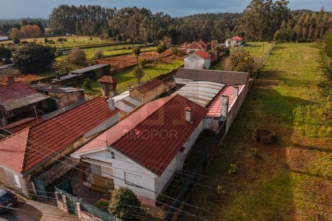 Villa i Ovar, Aveiro, Ovar - € 280.000 | Ref: CAS_639 - foto 23