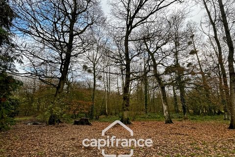 Villa i Plemet, Cotes-d'Armor, Plemet - € 180.000 | Ref: 340939450643 - foto 6