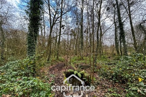 Villa i Plemet, Cotes-d'Armor, Plemet - € 180.000 | Ref: 340939450643 - foto 7