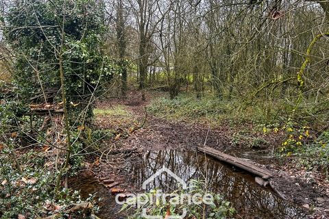Villa i Plemet, Cotes-d'Armor, Plemet - € 180.000 | Ref: 340939450643 - foto 8