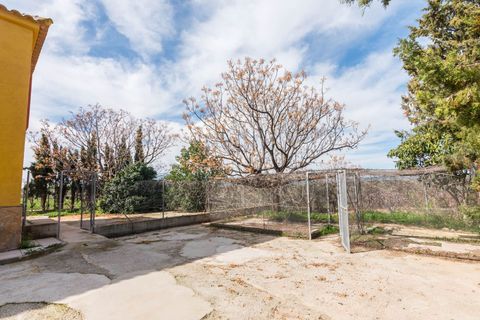 Landejendom i Pliego, Murcia, Pliego - € 205.000 | Ref: 142e73a4-a367-4a2d-b - foto 34