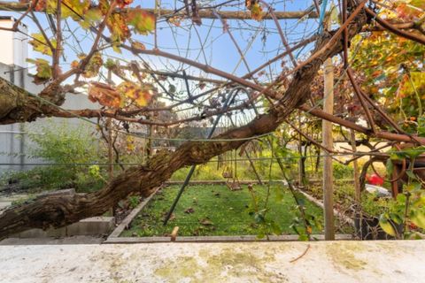 Byhus i Alcobaca, Leiria, Alcobaca - € 330.000 | Ref: 118/2025.LM - foto 41