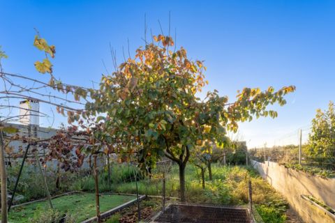 Byhus i Alcobaca, Leiria, Alcobaca - € 330.000 | Ref: 118/2025.LM - foto 42