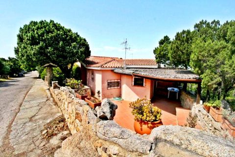 Villa a Arzachena, Sassari, Arzachena - € 495.000 | Ref: BOZ-3335 - foto 2