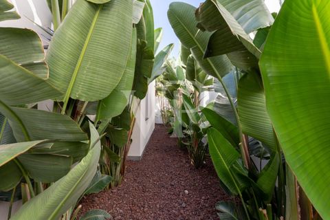 Villa i Adeje, Tenerife, Adeje - € 5.900.000 | Ref: ES 25 318 5345 - foto 44