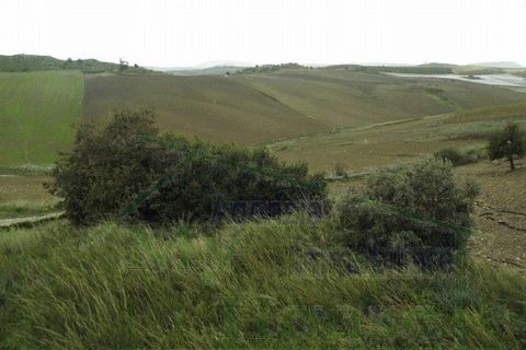 Villa i Naro, Agrigento, Naro - € 150.000 | Ref: Villa Leandra - foto 22