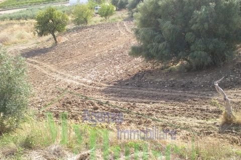Villa i Naro, Agrigento, Naro - € 150.000 | Ref: Villa Leandra - foto 10