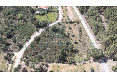 Helårsgrund i Chaves, Vila Real, Chaves - € 30.000 | Ref: MCA0469 - foto 2