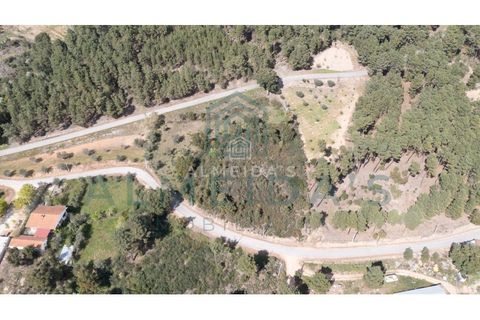 Helårsgrund i Chaves, Vila Real, Chaves - € 30.000 | Ref: MCA0469 - foto 4