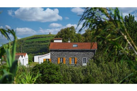 Farm i Ginetes, Sao Miguel, Ginetes - € 599.000 | Ref: CDB140 - foto 3