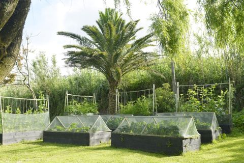Farm i Ginetes, Sao Miguel, Ginetes - € 599.000 | Ref: CDB140 - foto 17