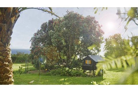 Farm i Ginetes, Sao Miguel, Ginetes - € 599.000 | Ref: CDB140 - foto 18