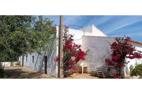 Villa i Tunes, Faro, Tunes - € 725.000 | Ref: MOR_397-TR - foto 3