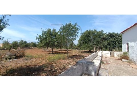 Villa i Tunes, Faro, Tunes - € 725.000 | Ref: MOR_397-TR - foto 5