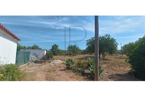 Villa i Tunes, Faro, Tunes - € 725.000 | Ref: MOR_397-TR - foto 6