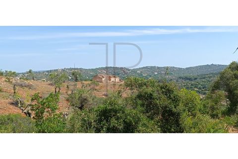 Villa i Tunes, Faro, Tunes - € 725.000 | Ref: MOR_397-TR - foto 12