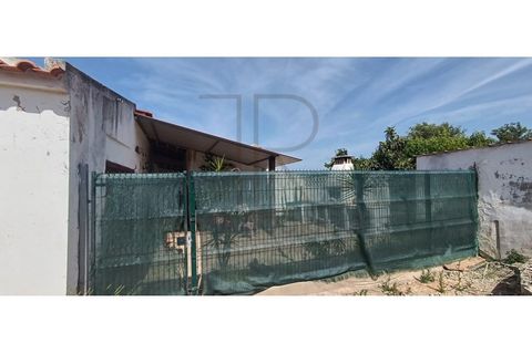 Villa i Tunes, Faro, Tunes - € 725.000 | Ref: MOR_397-TR - foto 14