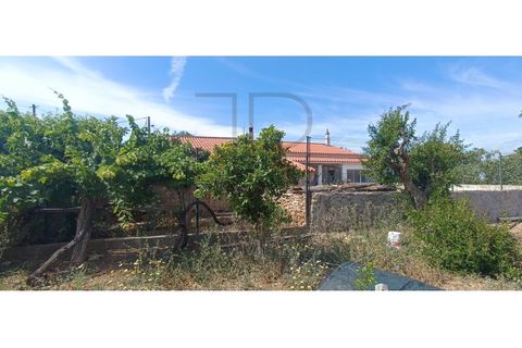 Villa i Tunes, Faro, Tunes - € 725.000 | Ref: MOR_397-TR - foto 15