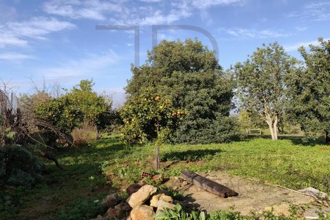Villa i Tunes, Faro, Tunes - € 725.000 | Ref: MOR_397-TR - foto 40