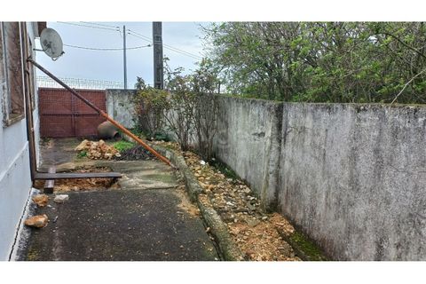 Villa a Assentiz, Santarem, Assentiz - € 170.000 | Ref: TM98495 - foto 16