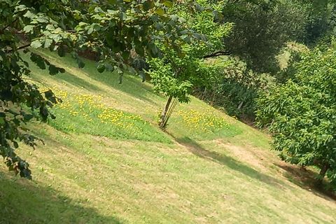 Landsbyhus i Jussey, Haute-Saone, Jussey - € 141.000 | Ref: 830039106213 - foto 19