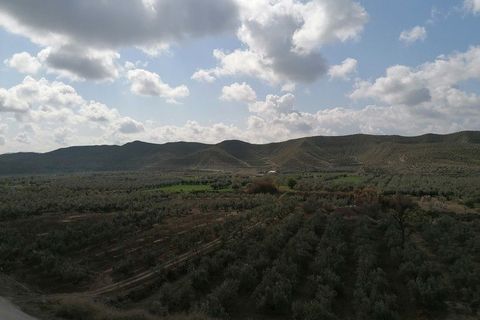 Cave house i Cullar, Granada, Cullar - € 68.000 | Ref: v2584 - foto 11