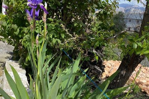 Cave house i Almontaras, Granada, Almontaras - € 54.000 | Ref: v3061 - foto 47