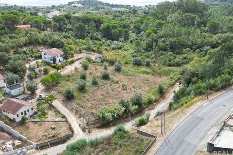 Helårsgrund i Coimbra, Coimbra, Coimbra - € 300.000 | Ref: 779899 - foto 3