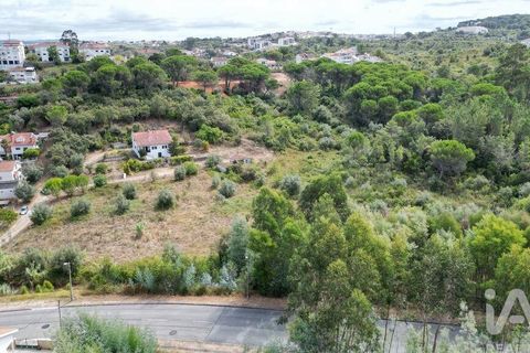 Helårsgrund i Coimbra, Coimbra, Coimbra - € 300.000 | Ref: 779899 - foto 4