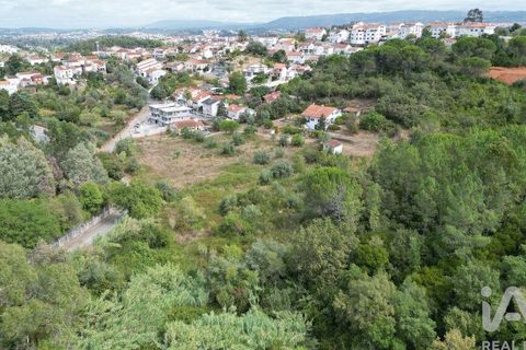 Helårsgrund i Coimbra, Coimbra, Coimbra - € 300.000 | Ref: 779899 - foto 5