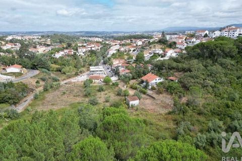 Helårsgrund i Coimbra, Coimbra, Coimbra - € 300.000 | Ref: 779899 - foto 6
