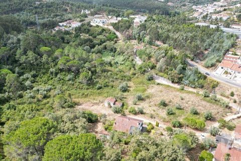 Helårsgrund i Coimbra, Coimbra, Coimbra - € 300.000 | Ref: 779899 - foto 8