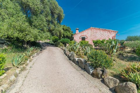 Villa i Arzachena, Sassari, Arzachena - € 820 000 | Ref: BOZ-6224 - foto 4