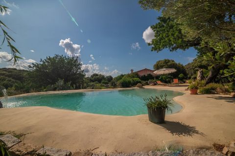Villa i Arzachena, Sassari, Arzachena - € 820 000 | Ref: BOZ-6224 - foto 7