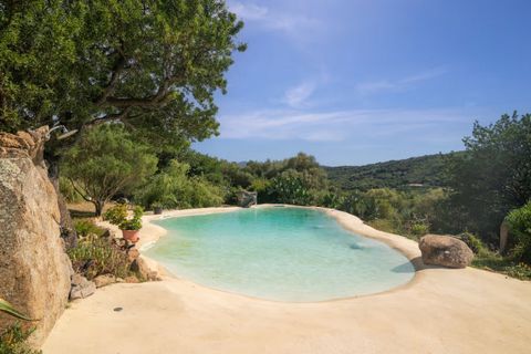 Villa i Arzachena, Sassari, Arzachena - € 820 000 | Ref: BOZ-6224 - foto 9