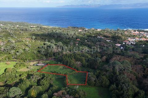 Helårsgrund i Sao Roque do Pico, Pico, Sao Roque do Pico - € 69.000 | Ref: 374250284 - foto 2