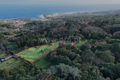Helårsgrund i Sao Roque do Pico, Pico, Sao Roque do Pico - € 69.000 | Ref: 374250284 - foto 3