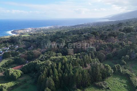 Helårsgrund i Sao Roque do Pico, Pico, Sao Roque do Pico - € 69.000 | Ref: 374250284 - foto 4