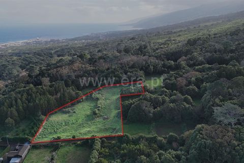 Helårsgrund i Sao Roque do Pico, Pico, Sao Roque do Pico - € 69.000 | Ref: 374250284 - foto 5