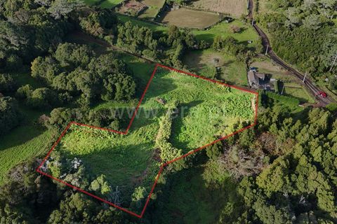 Helårsgrund i Sao Roque do Pico, Pico, Sao Roque do Pico - € 69.000 | Ref: 374250284 - foto 7