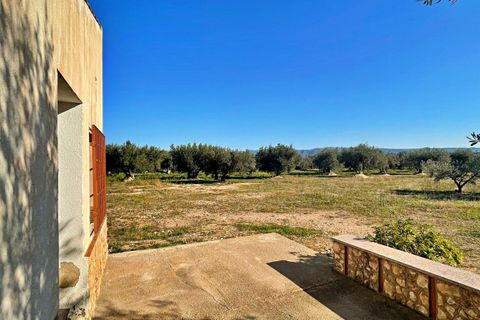 Landejendom i Aldover, Tarragona, Aldover - € 42.500 | Ref: 4853FZ/6931 - foto 21