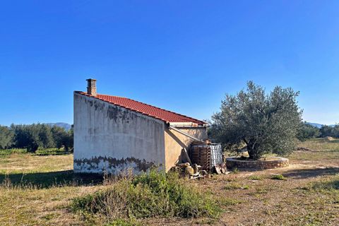 Landejendom i Aldover, Tarragona, Aldover - € 42.500 | Ref: 4853FZ/6931 - foto 26