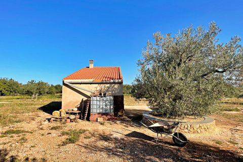 Landejendom i Aldover, Tarragona, Aldover - € 42.500 | Ref: 4853FZ/6931 - foto 27