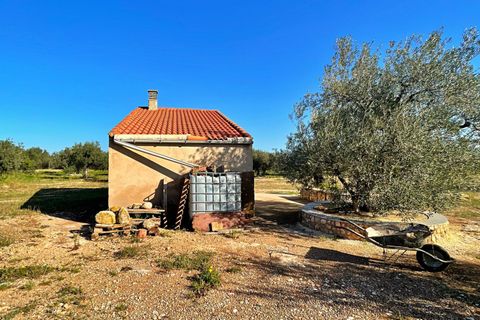 Landejendom i Aldover, Tarragona, Aldover - € 42.500 | Ref: 4853FZ/6931 - foto 28